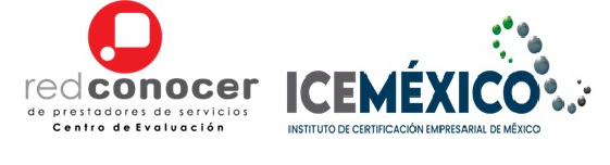 conocer icemexico pagina
